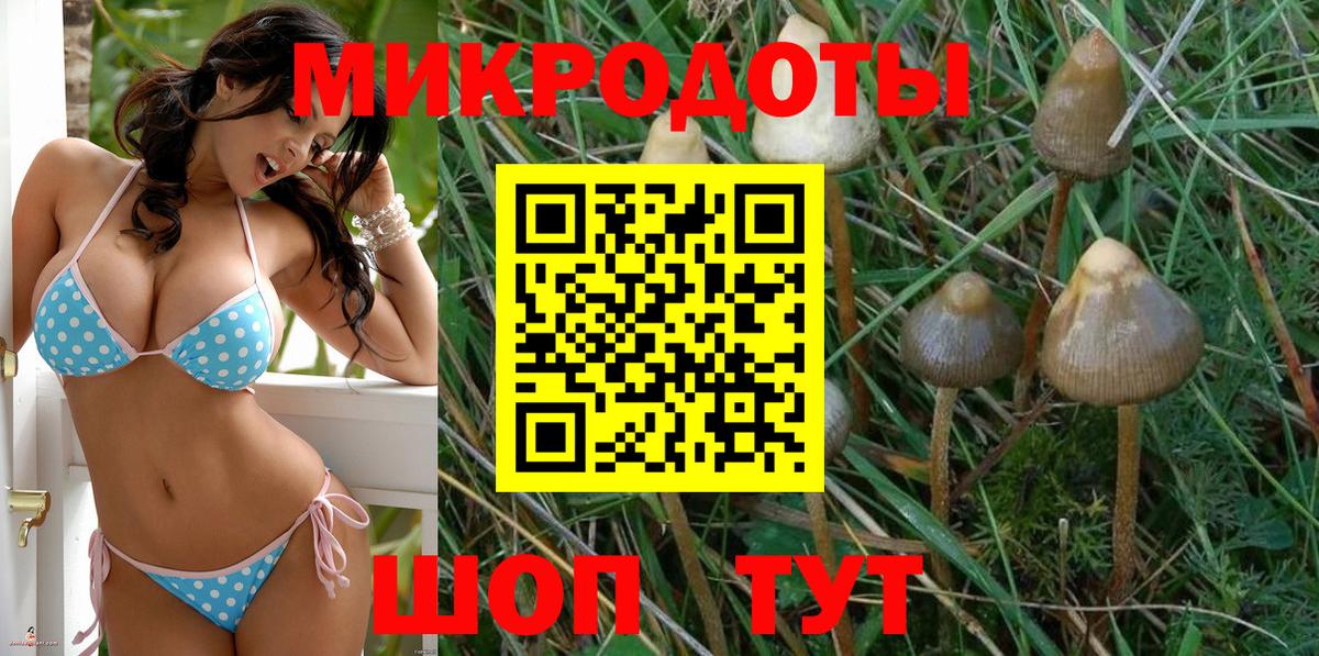 Псилоцибиновые грибы Psilocybine cubensis Набережные Челны